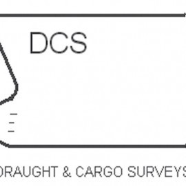 DCS Cargo - Scouts en Gidsen Zaventem 